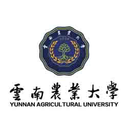 合作客户